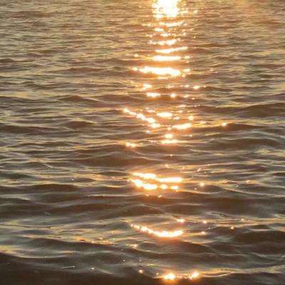 大发黄金版888下载app下载